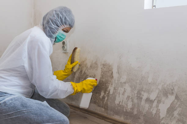 Best Forensic Mold Investigation  in Exeter, CA