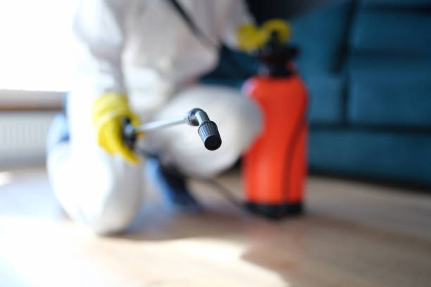 Best Post-Remediation Verification Testing  in Exeter, CA