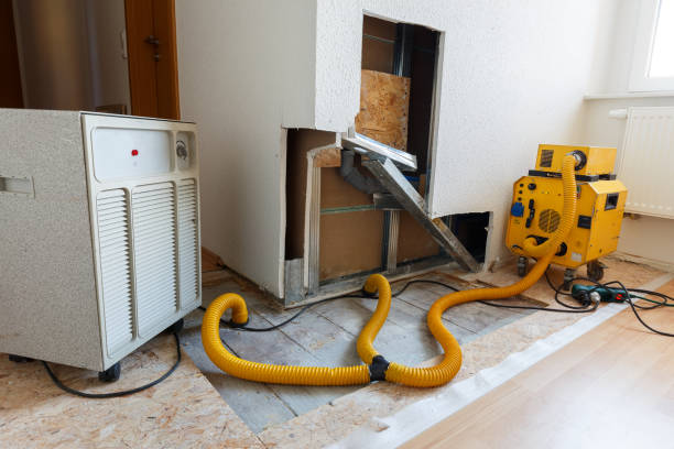 Best Airborne Mold Testing  in Exeter, CA